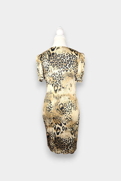Mulberry Silk Leopard Print V-Neck Dress