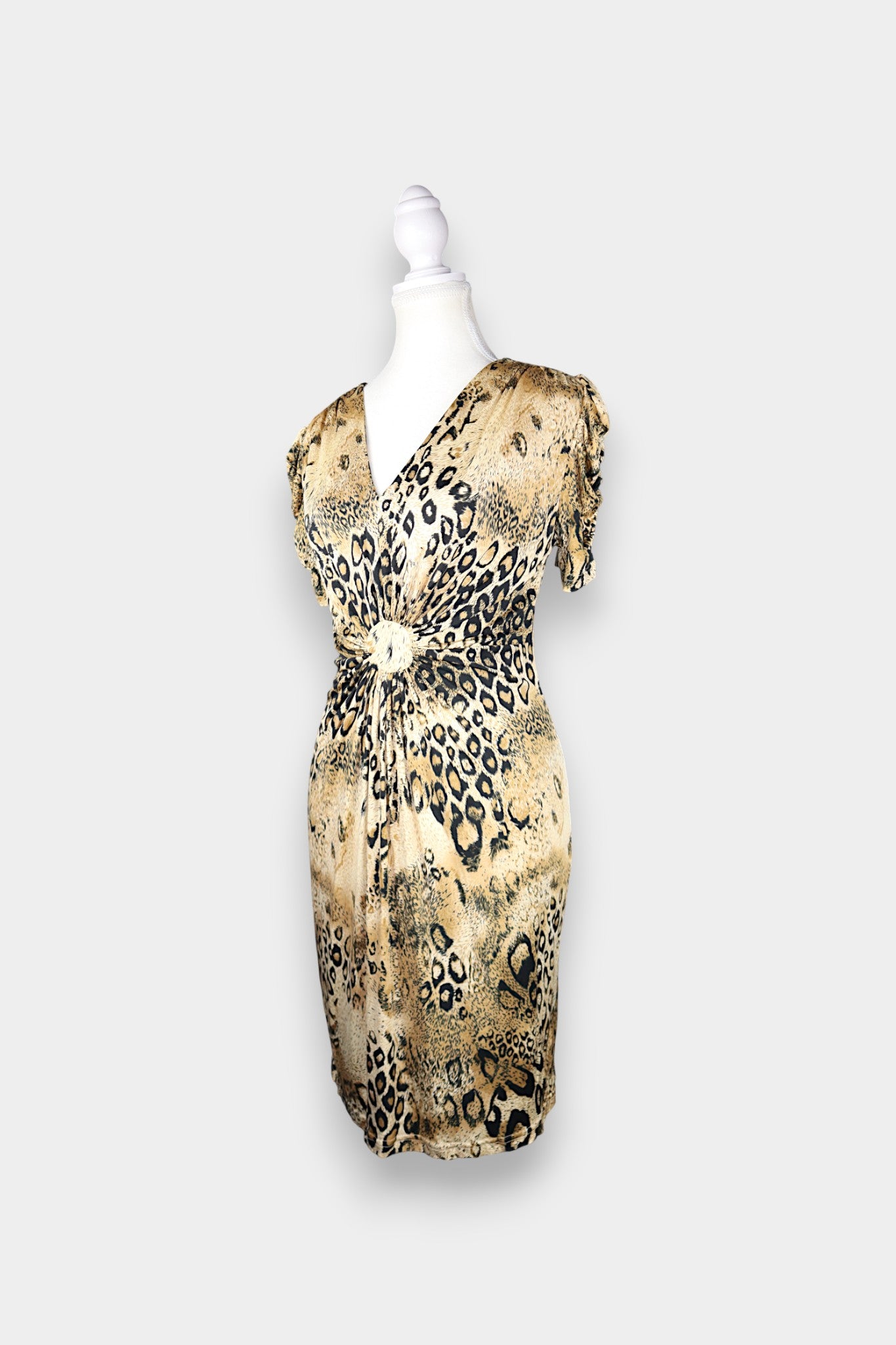 Mulberry Silk Leopard Print V-Neck Dress