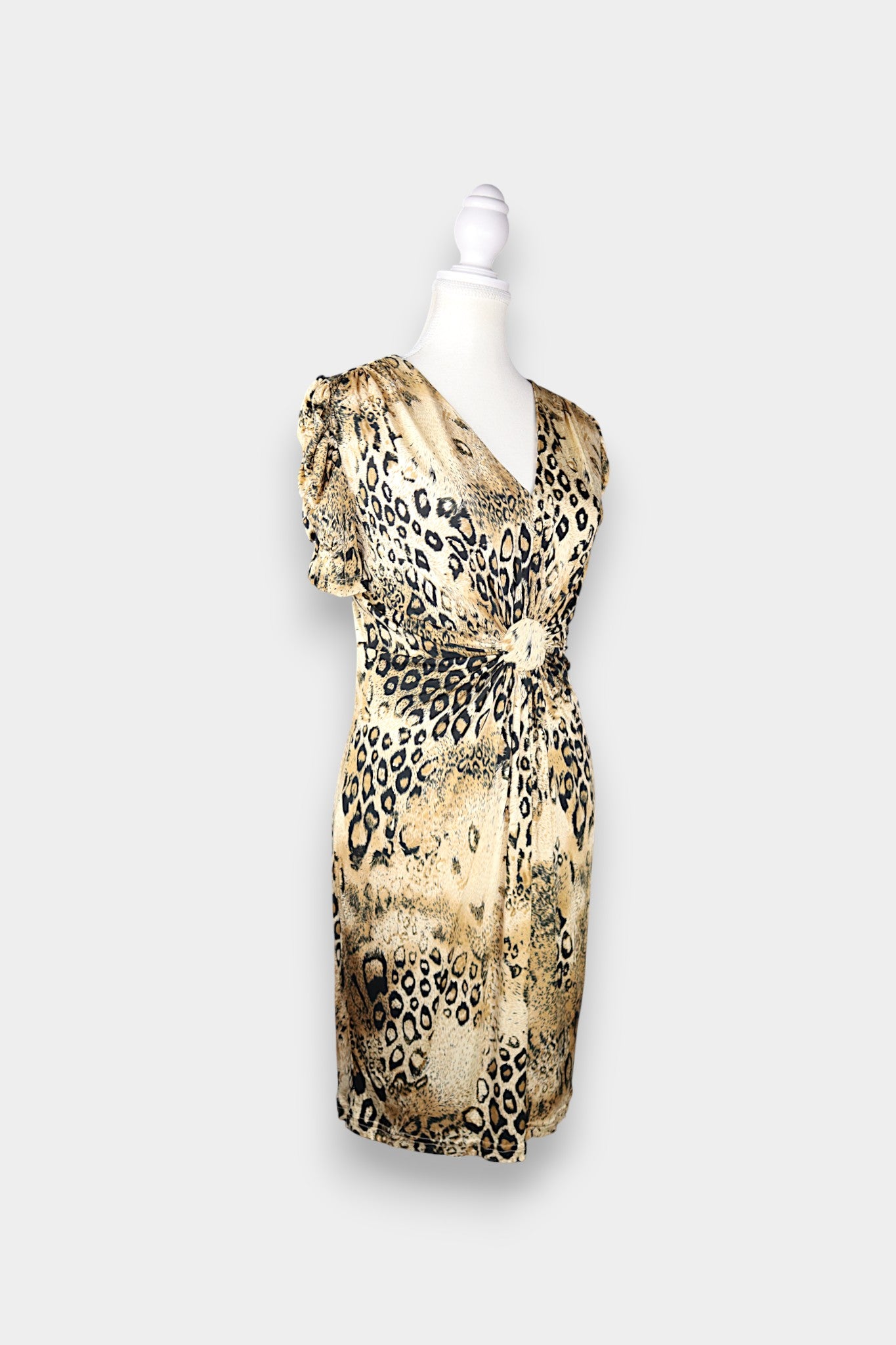 Mulberry Silk Leopard Print V-Neck Dress