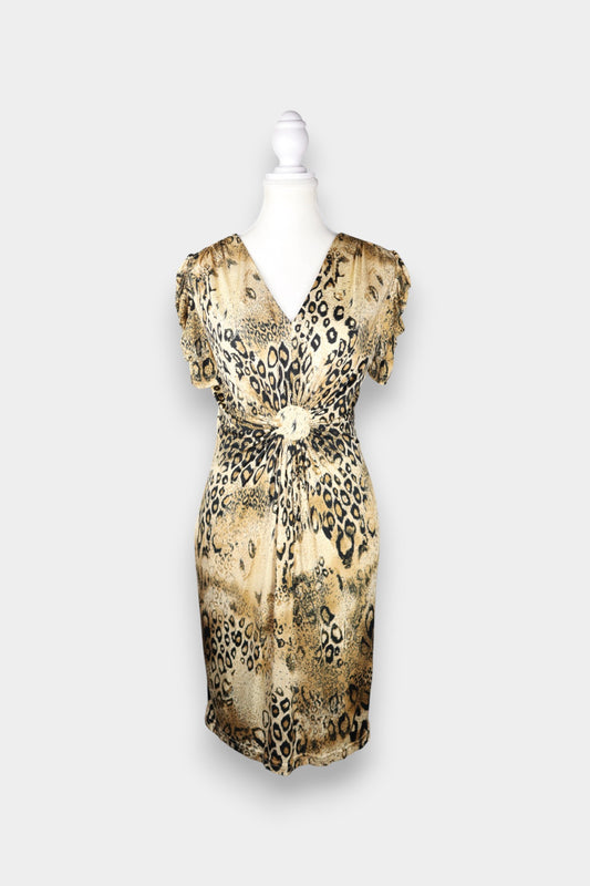 Mulberry Silk Leopard Print V-Neck Dress
